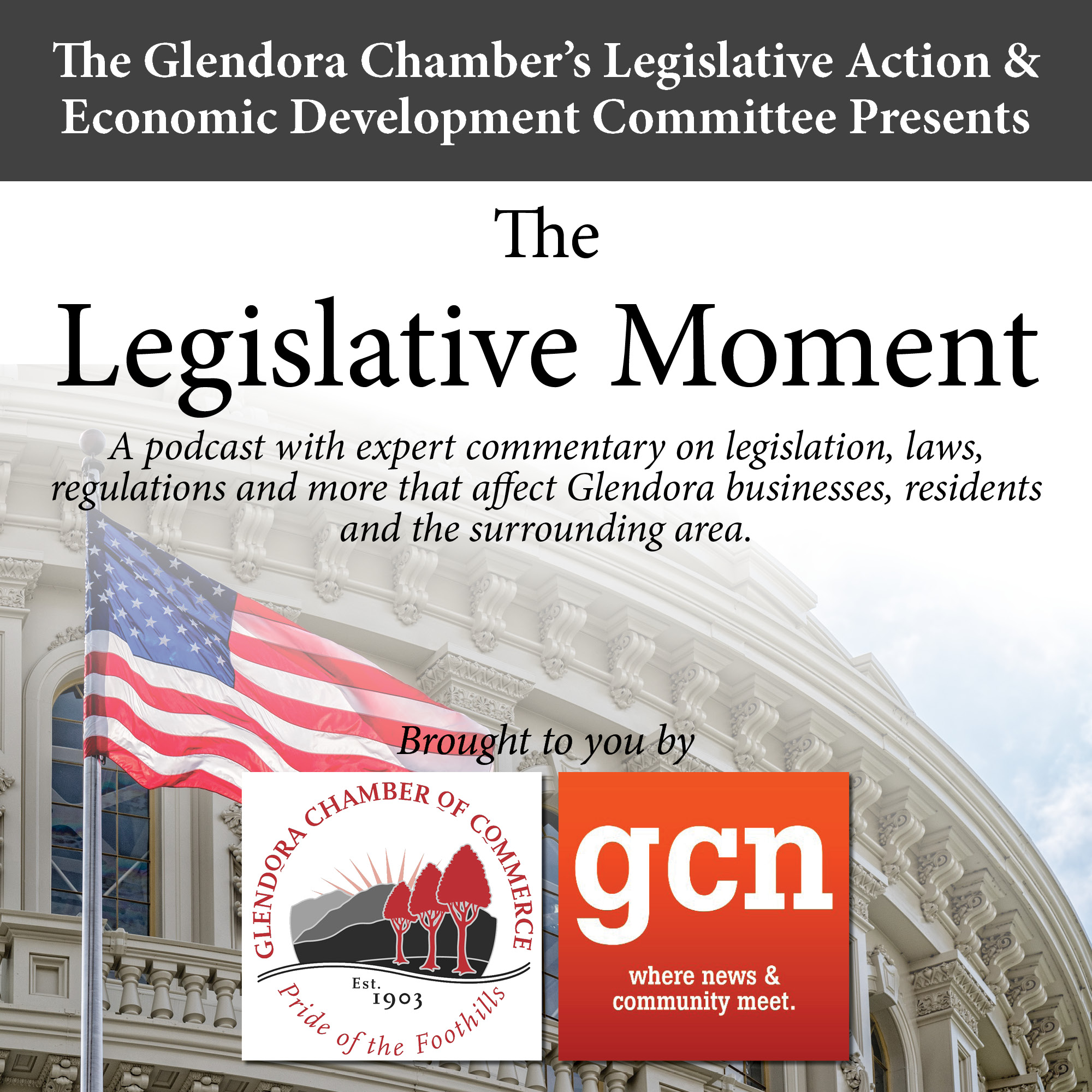 The Legislative Moment
